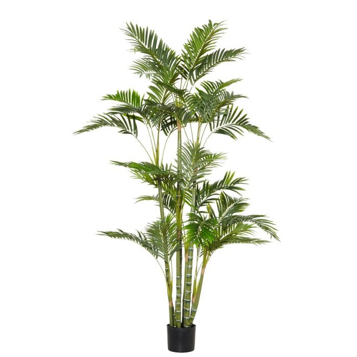 Rogue Cycas Plant Green 76x76x93cm