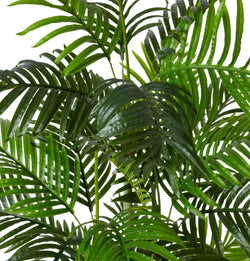 Palm Cane Green 100 x 80 x 150cm