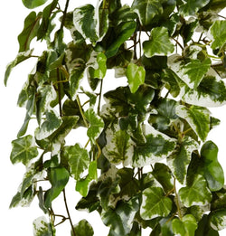 Ivy Kangaroo Hanging Bush 45 x 40 x 110cm