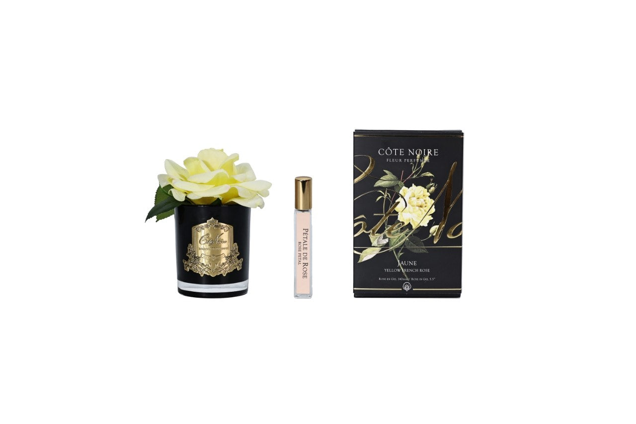 Cote Noire Perfumed Natural Touch Single Rose - Clear - Yellow - GMRB08