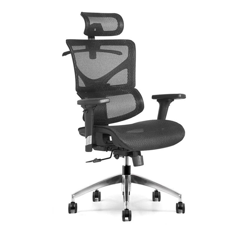 Birger Executive Office Chair with Headrest - Black - Furniture Castle
