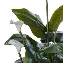 Calla Lily Garden Pot Green 73x57x105cm - Furniture Castle