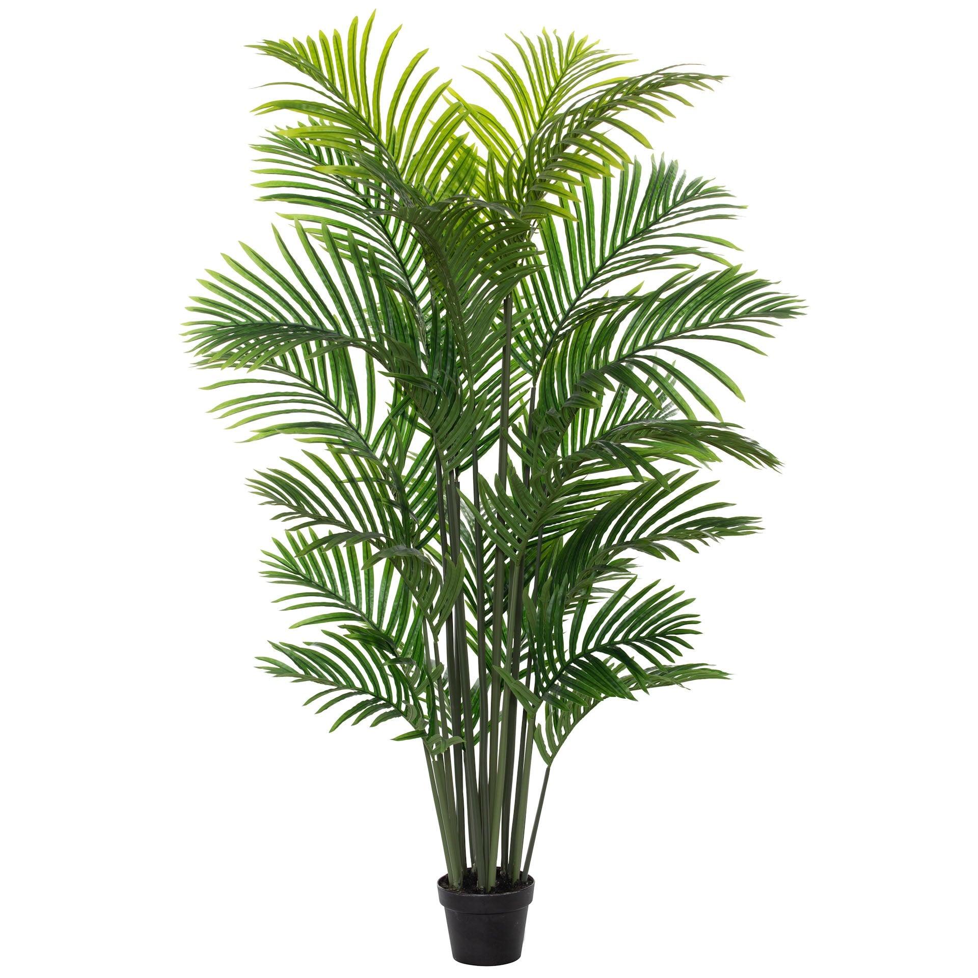 FC Areca Palm Tree-Garden Pot Green 100X100X150cm - Furniture Castle