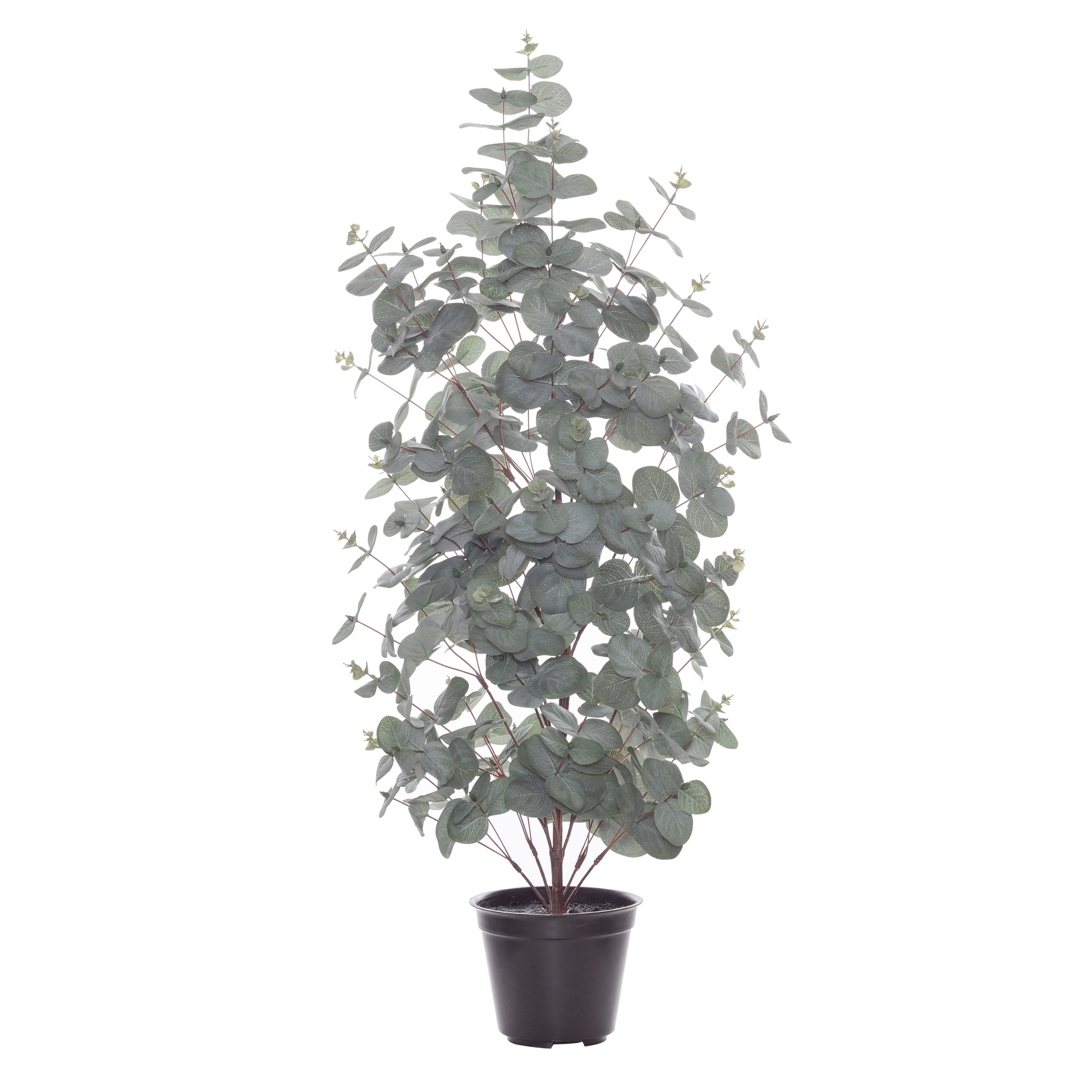 FC Eucalyptus Plant-Garden Pot Grey/Green 85cm - Furniture Castle