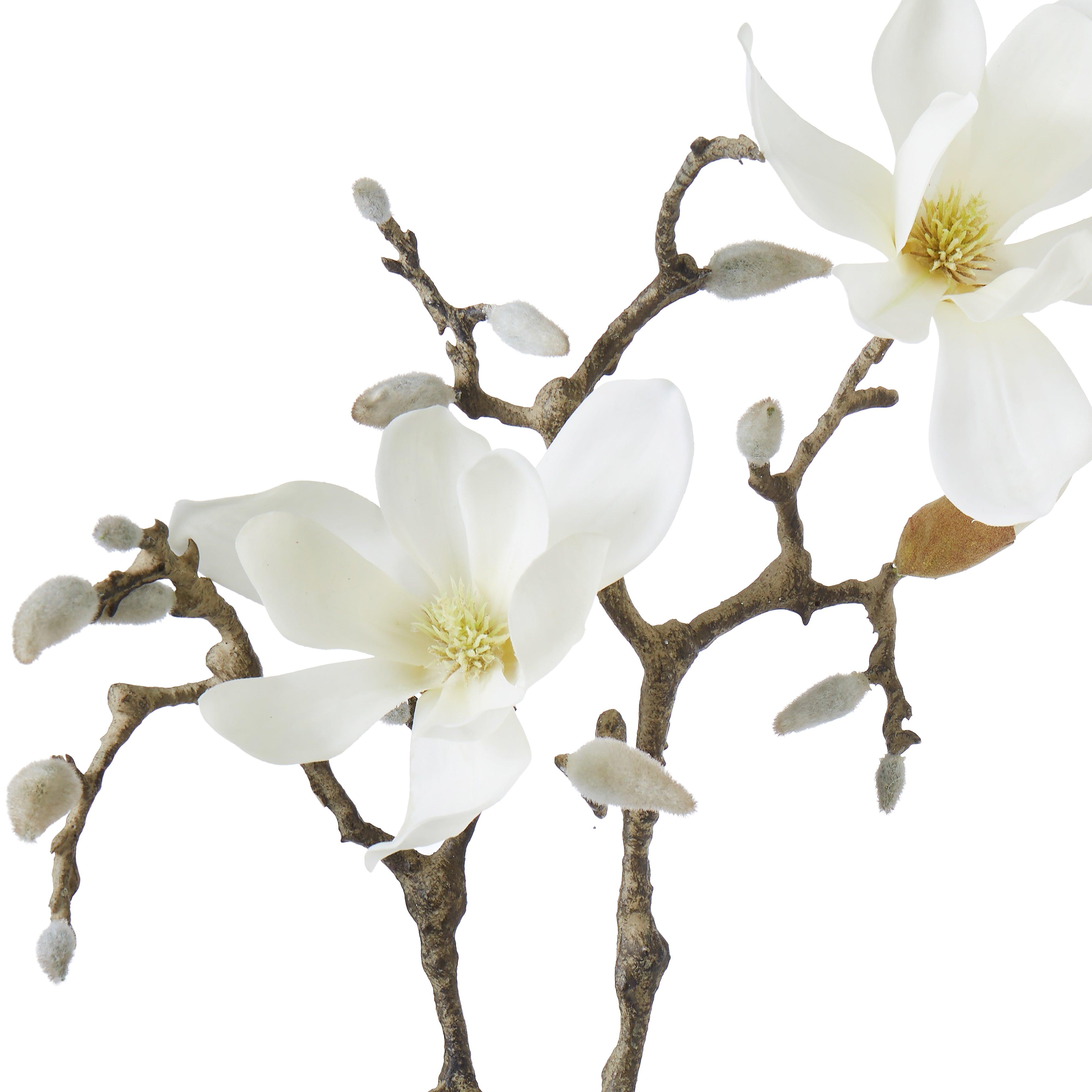 FC Tree Magnolia Flower Cream 13x35x83cm - Furniture Castle