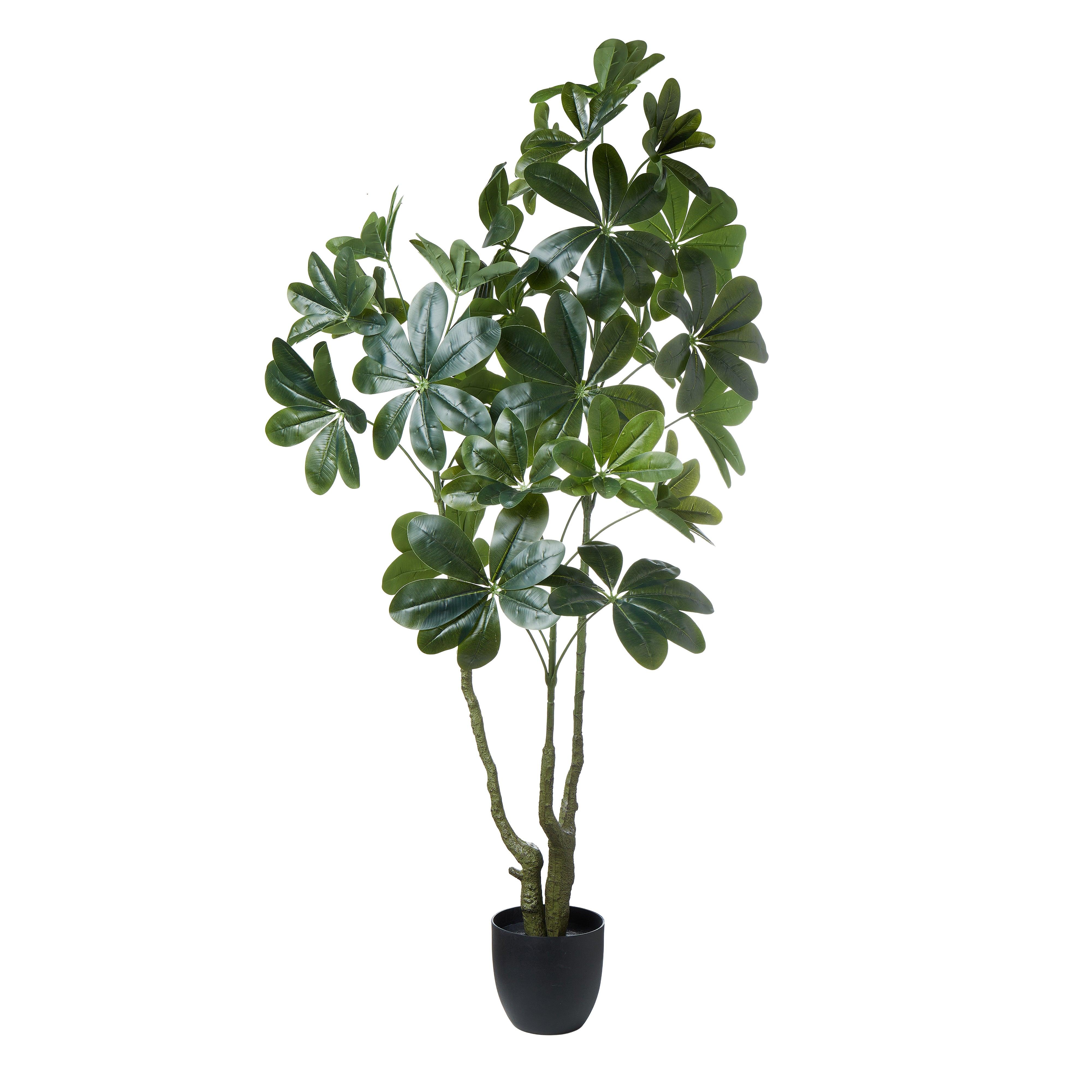FC Umbrella Tree-Garden Pot Green 82x52x150cm - Furniture Castle
