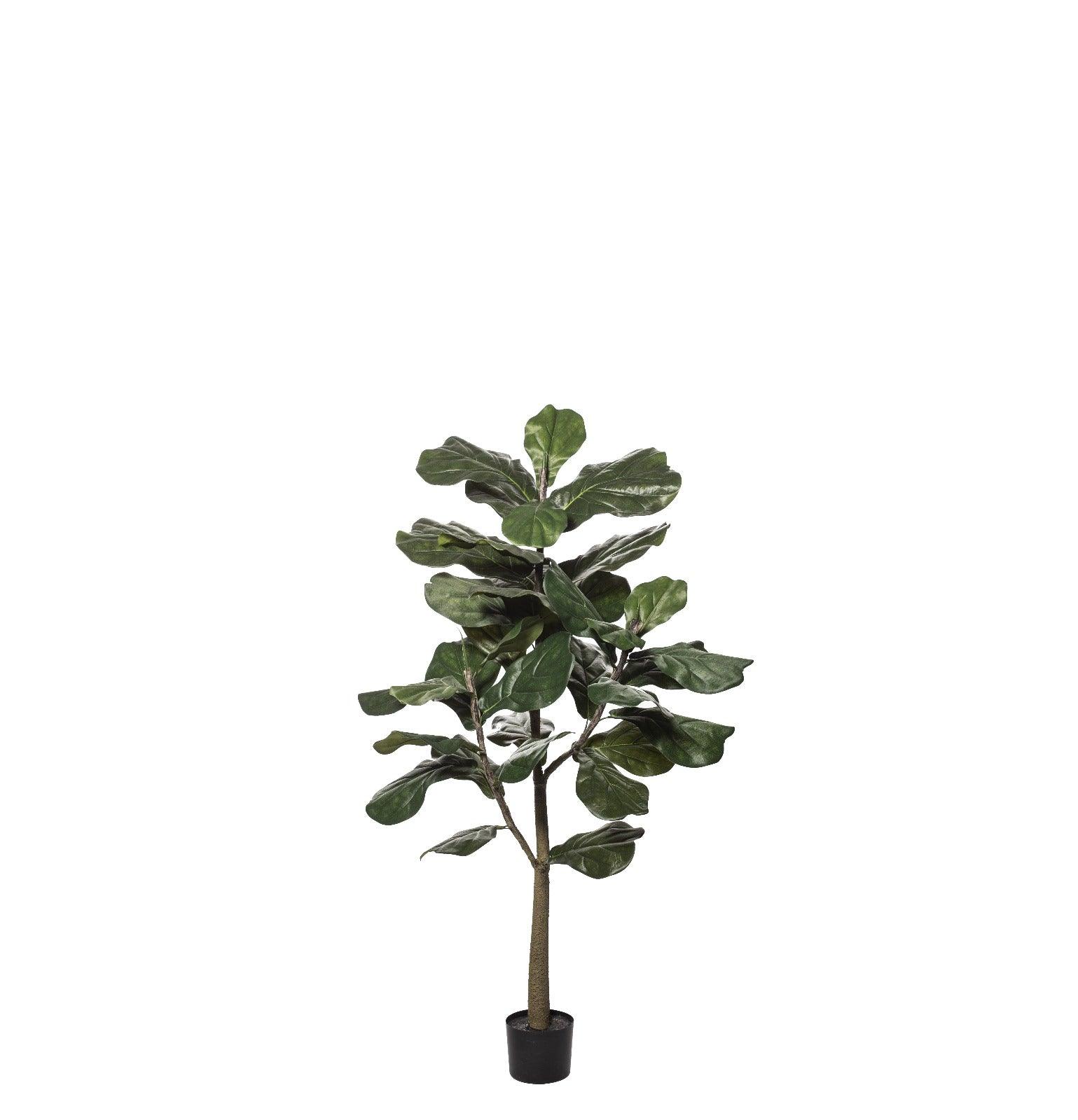 Fiddle Tree Green 70x70x152cm - Furniture Castle