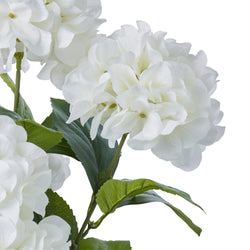 Hydrangea Bush Stem White 36x36x64cm - Furniture Castle