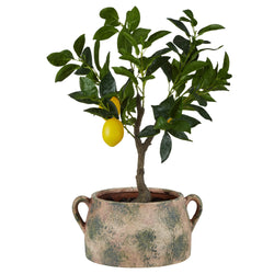 Lemon Tree Distressed Rustic Pot Green & Brown 41x32x60cm - Furniture Castle