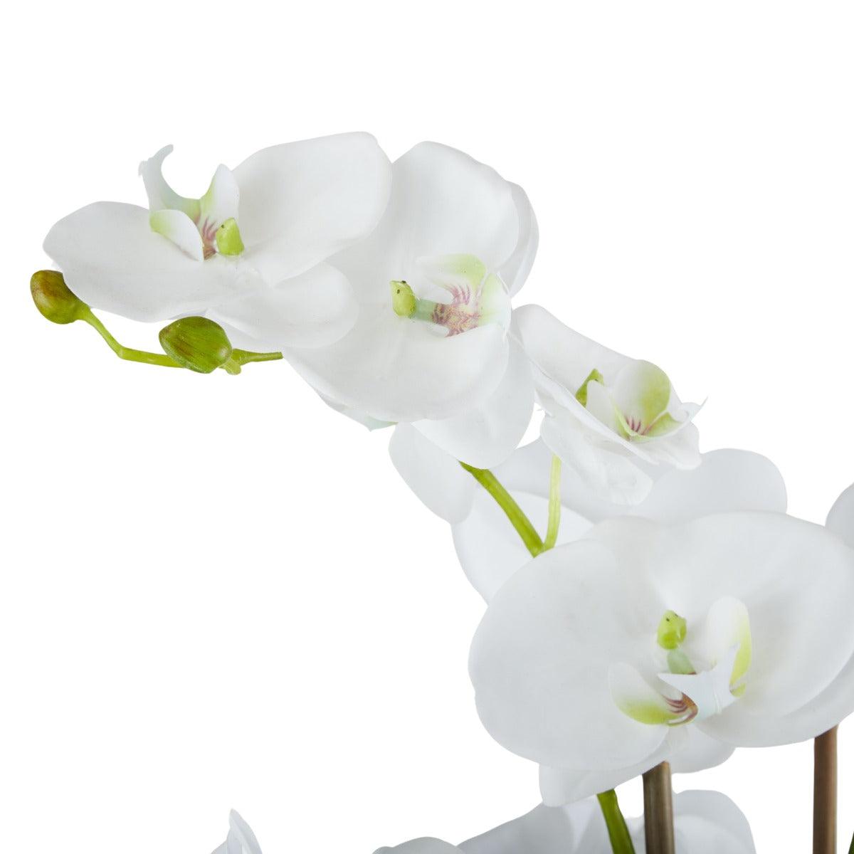 Phalaenopsis Classic Bowl White/Glass 42x39x68cm - Furniture Castle