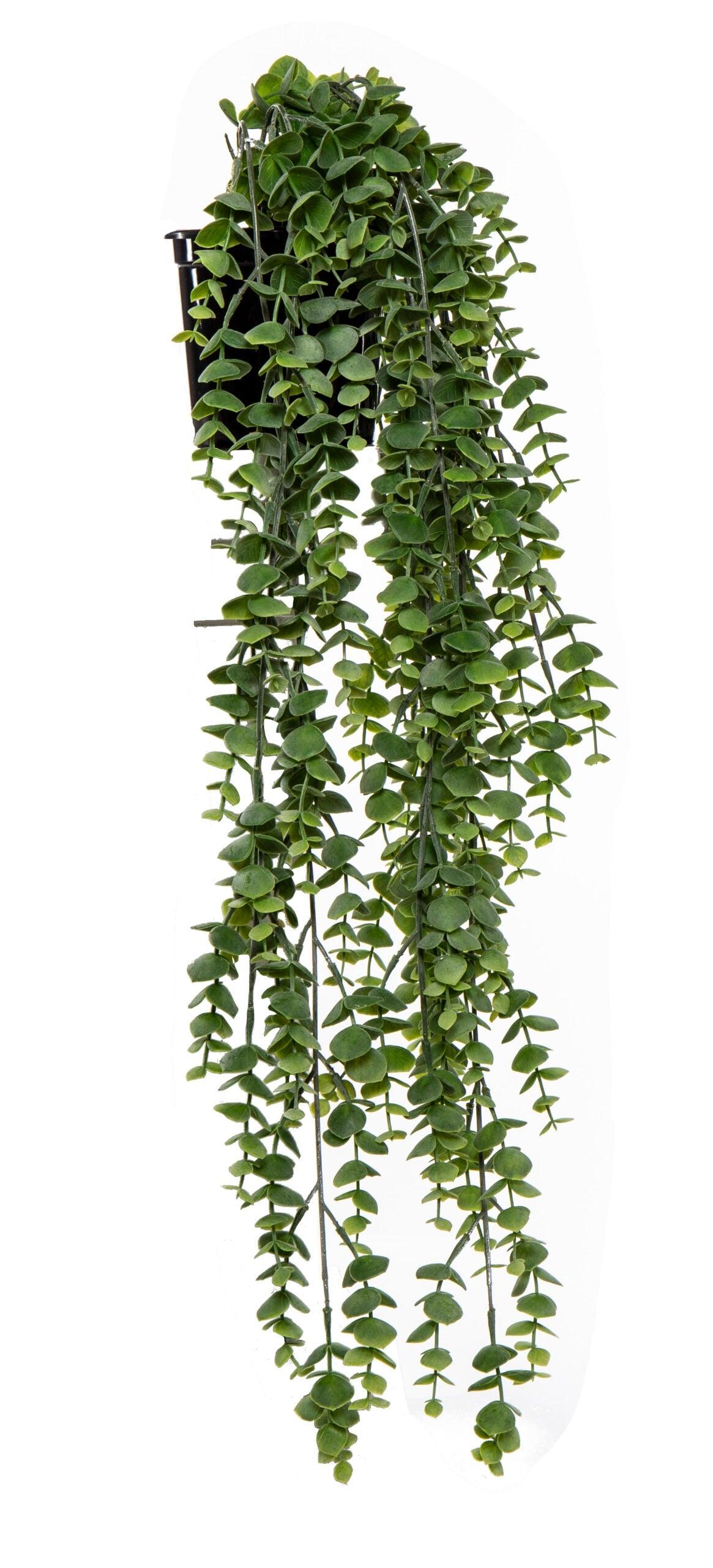 Silver Leaf Hanging-Garden Pot 60cm - Furniture Castle