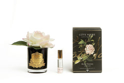 Cote Noire Perfumed Natural Touch Single Rose - Black - Pink Blush - GMRB02